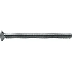 Simplex-Schraube M6 x 80 mm für Ablaufventile