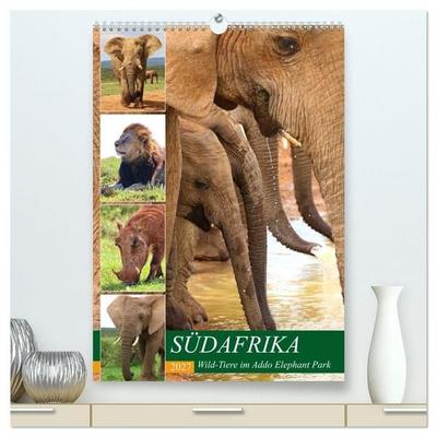 SÜDAFRIKA Wild-Tiere im Addo Elephant Park (hochwertiger Premium Wandkalender 2027 DIN A2 hoch), Kunstdruck in Hochglanz