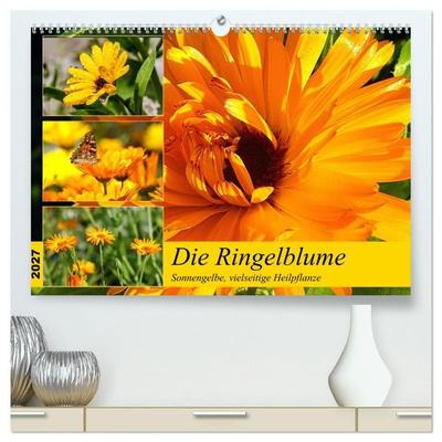 Die Ringelblume. Sonnengelbe, vielseitige Heilpflanze (hochwertiger Premium Wandkalender 2027 DIN A2 quer), Kunstdruck in Hochglanz