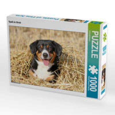 CALVENDO Puzzle Spaß im Stroh 1000 Teile Lege-Größe 64 x 48 cm Foto-Puzzle Bild von SchnelleWelten