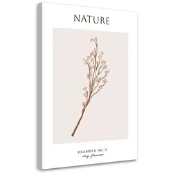 WANDBILD trockene blume natur