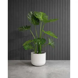 Kunstpflanze mit Topf Monstera Deliciosa mit Linea Gefäß 120 cm Weiß