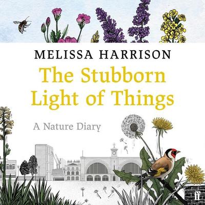The Stubborn Light of Things - Melissa Harrison, Audio, 9780571363537