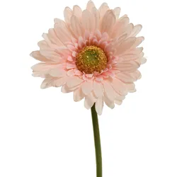 Kunstblume GERBERA (DH 10x50 cm) - DH 10x50 cm