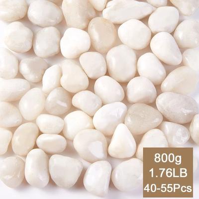 Inspired Living White Polished Pebbles 23cm For Plants, Fish Tanks And Garden Decor 800g