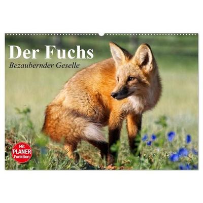 Der Fuchs. Bezaubernder Geselle (Wandkalender 2027 DIN A2 quer), CALVENDO Monatskalender