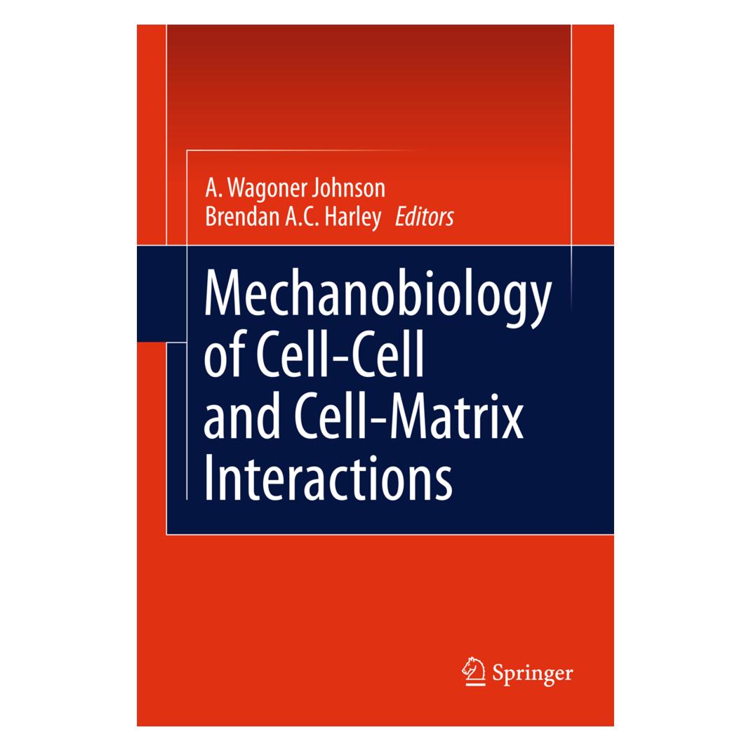 Springer Mechanobiology of Cell-Cell and Cell-Matrix Interactions (Englisch, Softcover, A. Wagoner Johnson, Brendan Harley) (55580482)