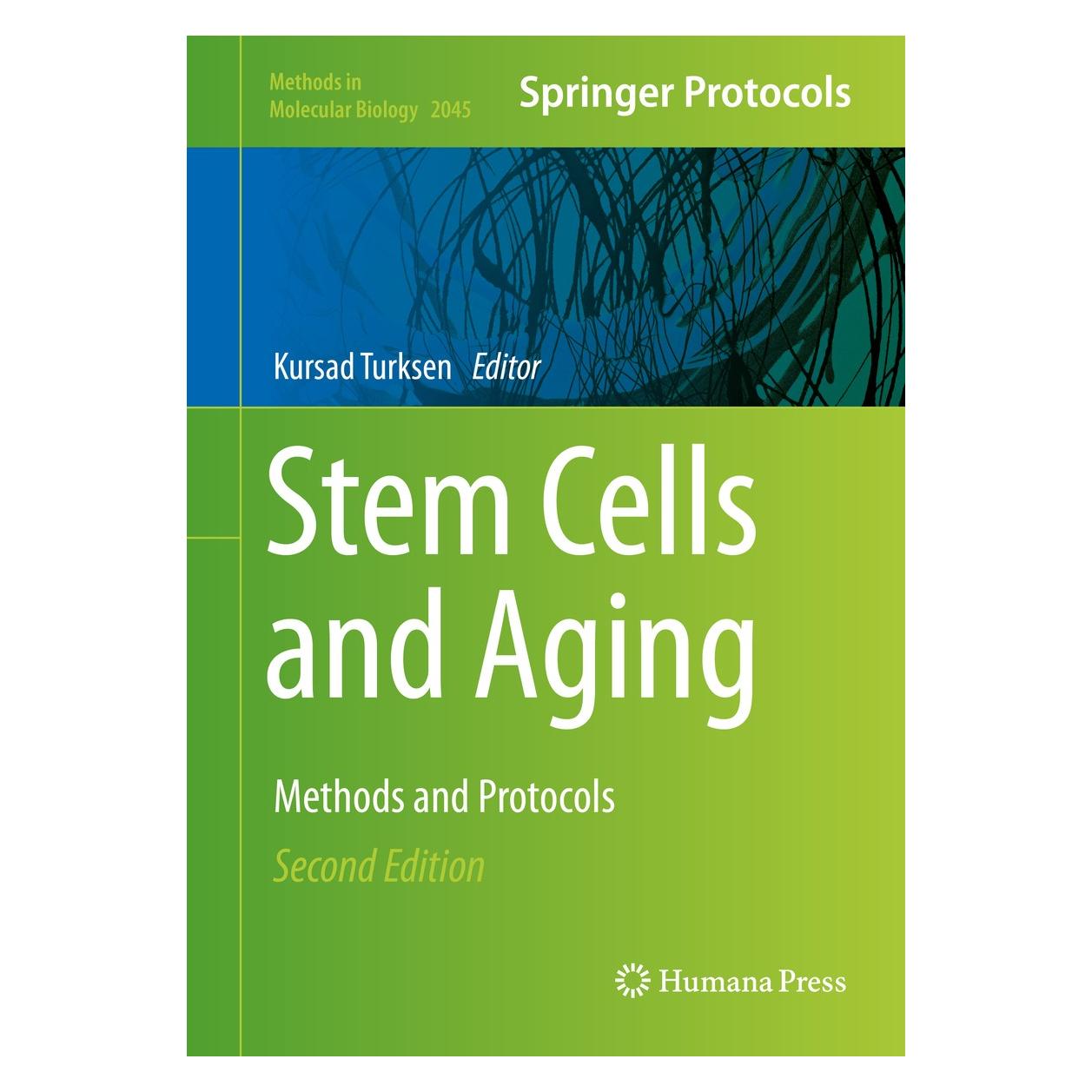 Springer Stem Cells and Aging (Englisch, Hardcover, Kursad Turksen) (9781493997121)