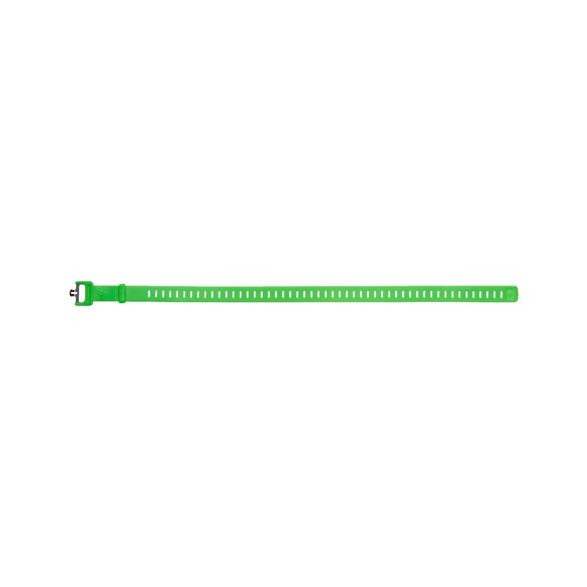 Black Diamond Ski Strap 25 IN envy green (3011) 2.5 BD10214130110251