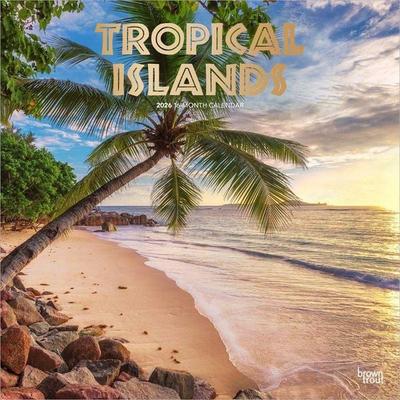 Tropical Islands 2026 12 X 24 Inch (Hanging) Monthly Square Wall Calendar Foil Stamped Cover Plastic-Free
