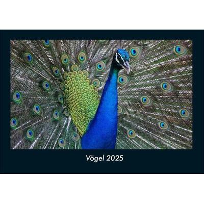 Vögel 2025 Fotokalender DIN A4