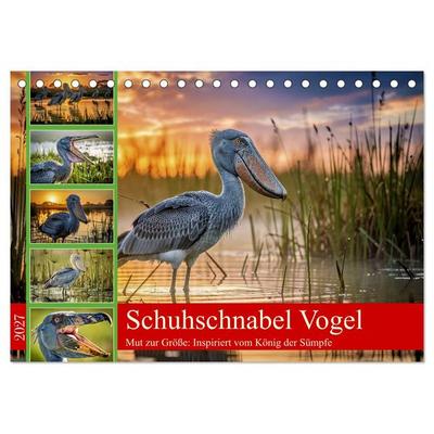 Schuhschnabel Vogel (Tischkalender 2027 DIN A5 quer), CALVENDO Monatskalender