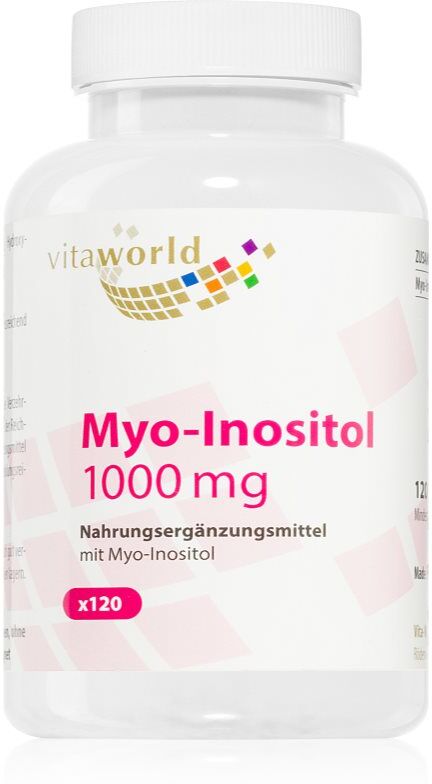 Vita World Myo-Inositol 1000 mg Nahrungsergänzungsmittel für Ihr Wohlbefinden 120 Kapseln