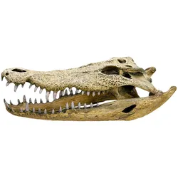 Nobby Aquariumdekoration Schädel, 47.5x20.5x16cm (Dekoration, sonstige Bauten, sonstige Gegenstände), Aquarium Dekoration