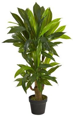 Nearly Natural 3' Corn Stalk Dracaena Artificial Plant (Real Touch)