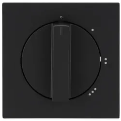 Busch-Jaeger Zentralscheibe 2542 DR/01-45M