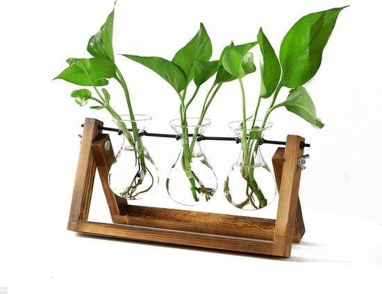 Vintage houten plantenstandaard met 3 verwijderbare glazen bolvazen in bruin