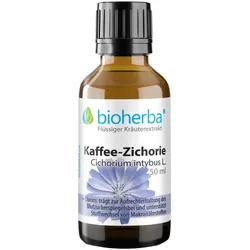 Kaffee-Zichorie Cichorium intybus L. Tropfen Tinktur 50ml