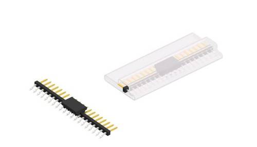 Fischer Elektronik Stiftleiste (Standard) Anzahl Reihen: 1 10063855 10St.
