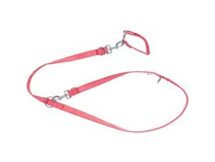 ZOOFARI® Collier et laisse pour chiens (rouge, S)