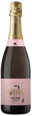 """Entre Vinyes""" """Entre Vinyes Funambul Brut Nature Rosado 2021 Champagne - Spain"""