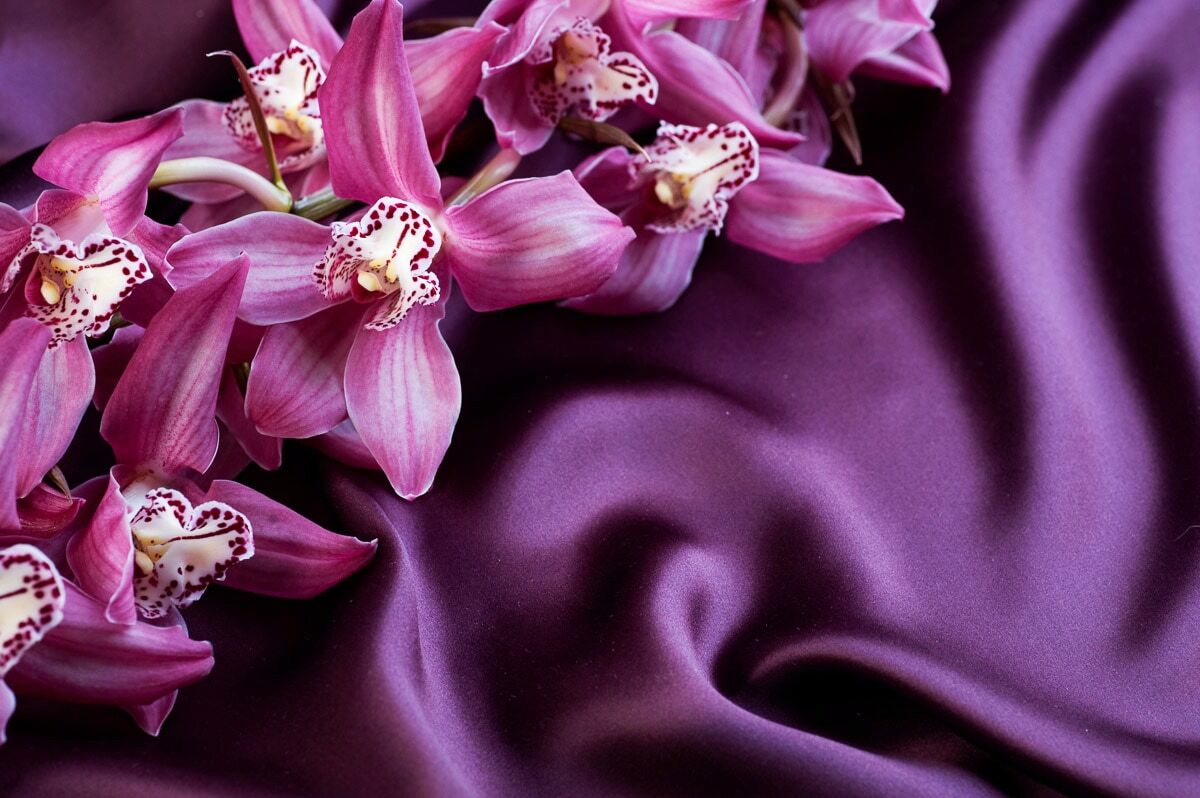Fototapete PAPERMOON "ORCHIDEEN-SEIDE ART DESIGN ABSTRAKT MUSTER DECOR KUNST", bunt, B:3m L:2,23m, Vlies, Tapeten, Fototapete bunt B/L: 3m x 2,23m, Bahnen: 6 Stk.