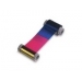 Zebra Farbe (Cyan, Magenta, Gelb, Schwarz) - Farbband (Farbe) (800012-445)
