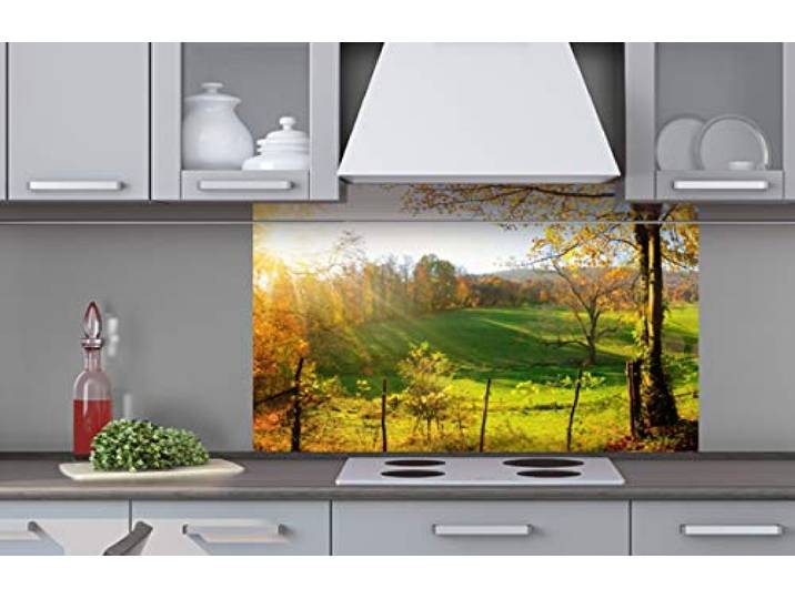Dimex Küchenrückwand Verbundplatte Wiese 100 x 60 cm Spritzschutz Küche für Herd & Spüle Premium Qualität Acrylglas, Stärke 5 mm - Made in EU