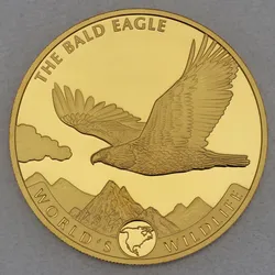 Goldmünze 5oz "Weißkopfseeadler" 2021 World's Wildlife (Kongo)