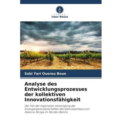 Analyse des Entwicklungsprozesses der kollektiven Innovationsfähigkeit, Taschenbuch von Sabi Yari Ouorou Boun, Verlag Unser Wissen, 978-620-4-17209-5