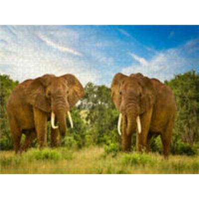 CALVENDO Puzzle Zwei Elefanten | 1000 Teile Lege-Größe 64x48cm Foto-Puzzle für glückliche Stunden