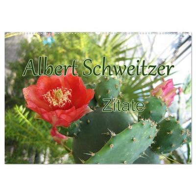 Albert Schweitzer Zitate (Wandkalender 2027 DIN A2 quer), CALVENDO Monatskalender