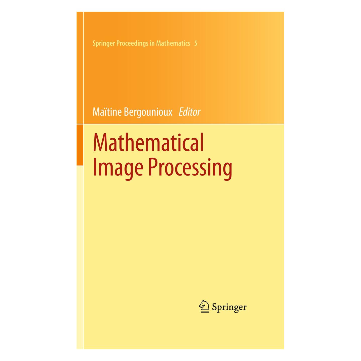 Springer Mathematical Image Processing (Englisch, Hardcover, Maïtine Bergounioux) (9783642196034)