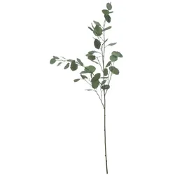 Bloomingville Deko Eukalyptuszweig, 138 cm