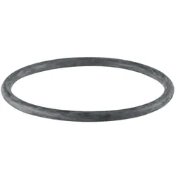 Geberit Pe Rundschnurring 367789001 EPDM, DN 100/Ø 110mm, für PE Steckmuffe