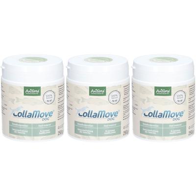 AniForte CollaMove Dog x3 3x250 g Pulver
