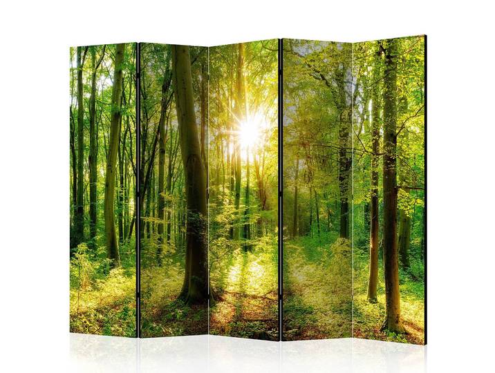 Paravent Forest Rays Akustik Vlies auf Kiefer Massiv Grün 225 x 172cm