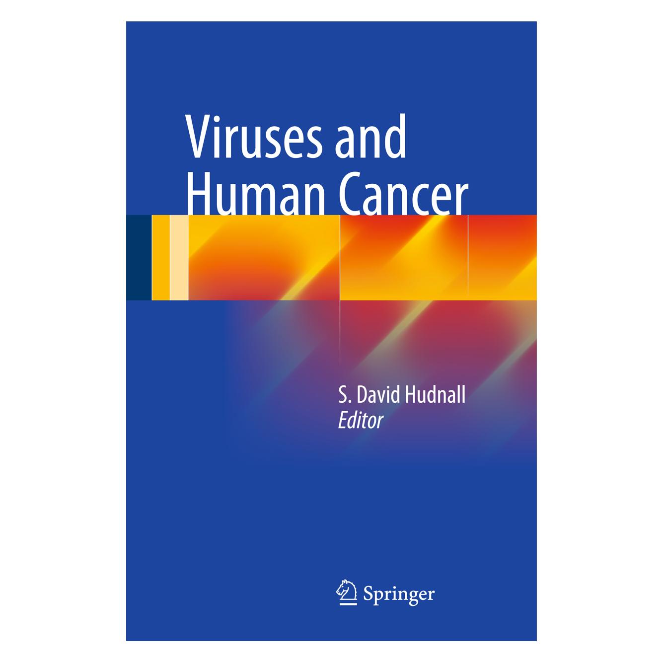 Springer Viruses and Human Cancer (Englisch, Hardcover, S. David Hudnall) (9781493908691)