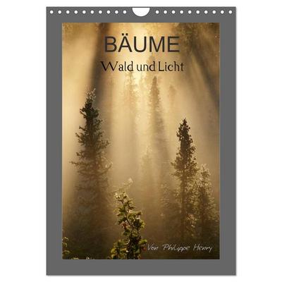 BÄUME (Wandkalender 2026 DIN A4 hoch), CALVENDO Monatskalender