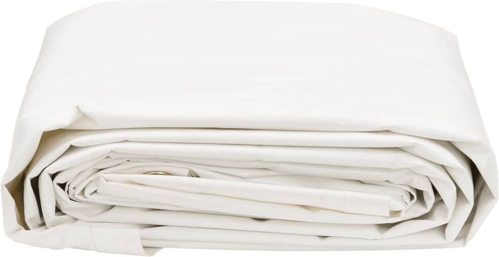 vidaXL Bâche blanc 5x6 m 650 g/m²