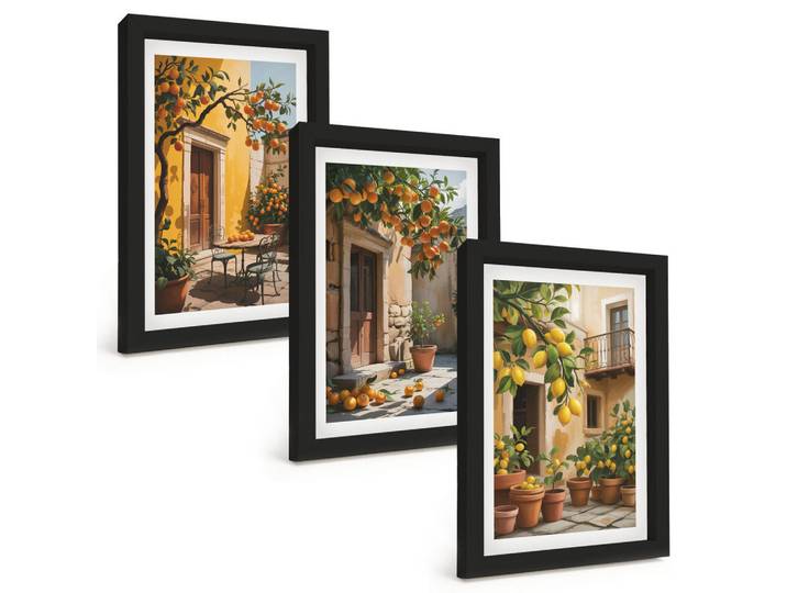 Tulup Bilder SET 3er Set - 20x30 cm Schwarzer Rahmen - Zitrusfrüchte, Hofpflanzen, Kunststoff, Rechteckig, 20x30 cm, gerahmt, Bilder & Rahmen, Bilder