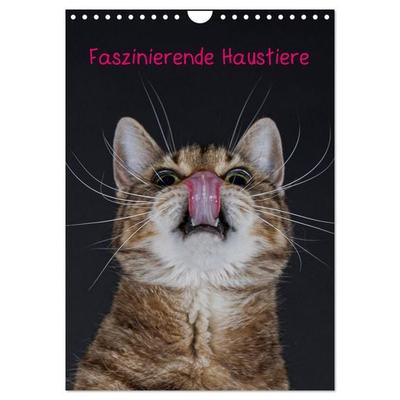 Faszinierende Haustiere (Wandkalender 2026 DIN A4 hoch), CALVENDO Monatskalender