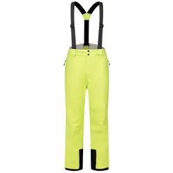Dare2b, Herren, Skihosen, Achieve III Pant (S), Grün, Gelb
