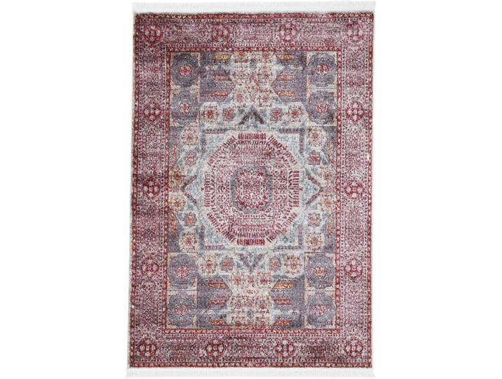 Teppich CARPETFINE Anil , rot, B:160cm H:7mm L:230cm, Polypropylen, Teppiche, Teppich, Vintage Orient Look, Wohnzimmer