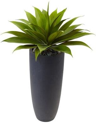 Nearly Natural Agave in Grey Cylinder Planter - Green