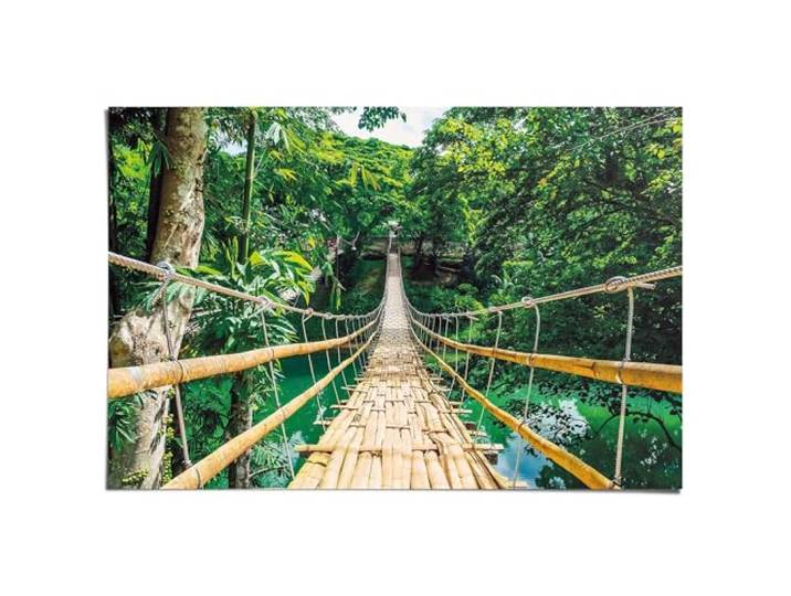 Poster Jungle Bridge 61 x 91,5
