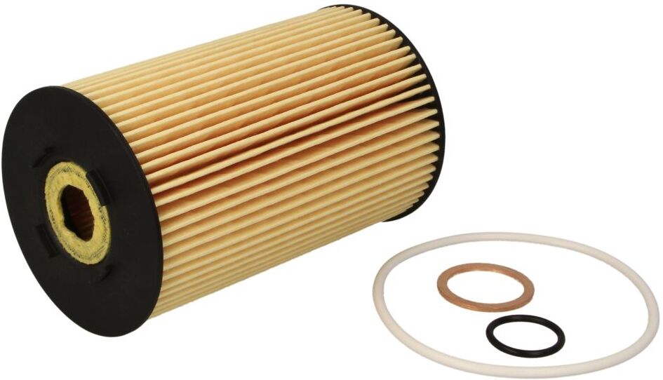 Hengst Filtration Filtro olio E134H D31