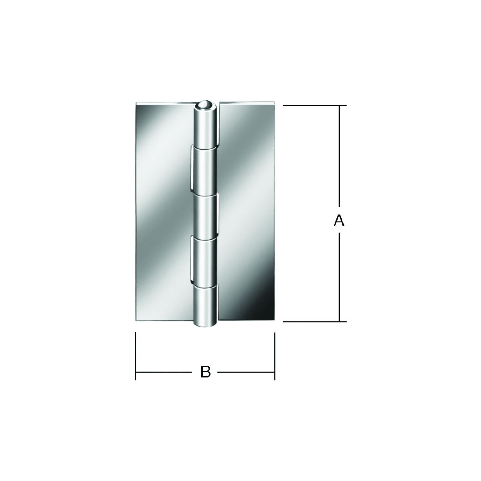 VORMANN Tür-Scharnier schmal B34xH60mm,gerollt blank (000401060U)
