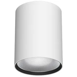 LTS Licht&amp;Leuchten Anbau-Downlight BTN-A301.940.WF/D.ws
