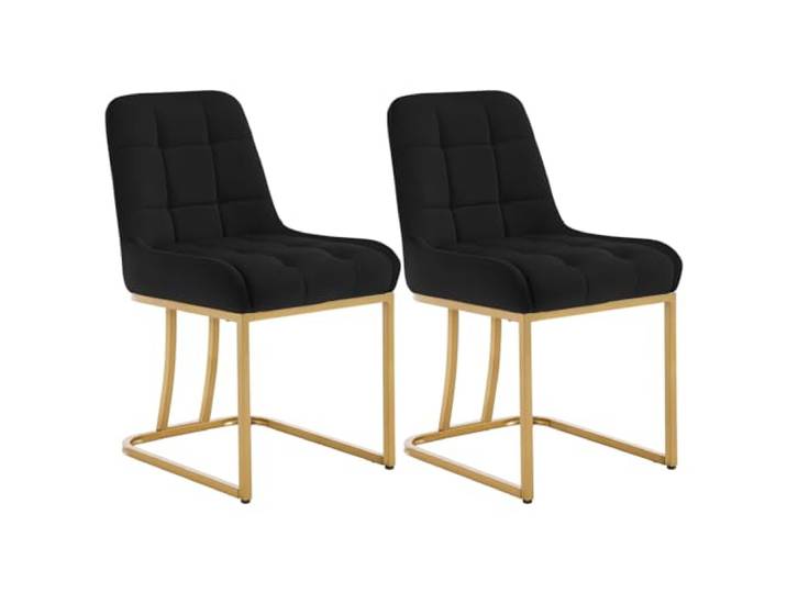 WOLTU Esszimmerstühle 2er Set, mit Metallgestell in Bogenform, Rückenlehne Küchenstühle gepolstert, Sitzfläche aus Samt, für Schlafzimmer Küche Wohnzimmer, Schwarz